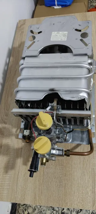 Calentador Edessa Gas Butano 10L