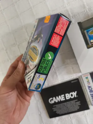 Tony Hawk's Skateboarding Game Boy Color