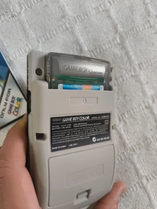 Tony Hawk's Skateboarding Game Boy Color