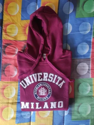 🇮🇹 Vintage 00s Felpa Università Milano
