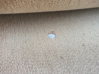 Conjunto 2 sofás 4 y 3 plazas tela