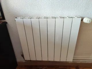 Caldera + 3 radiadores agua + termostato