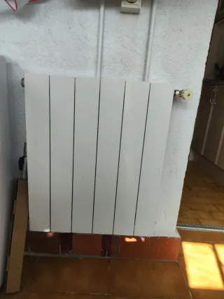 Caldera + 3 radiadores agua + termostato