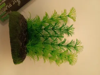 PLANTA ACUÁTICA ARTIFICIAL ACUARIO 7 CM