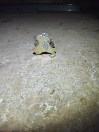 Búho decorativo plateado