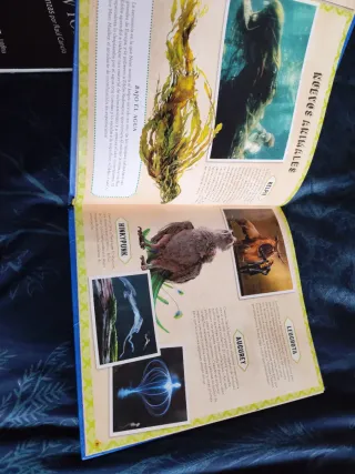 Cine mágico 4. Animales fantásticos: los crímen...