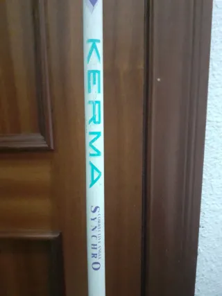 Conjunto skis/esquís Rossignol y par de bastones.