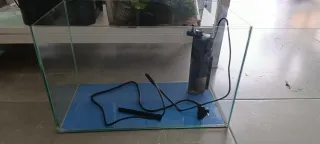 Acuario 20L con filtro interno SERA