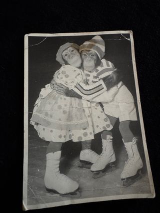 Vecchia cartolina scimmie pattinatori