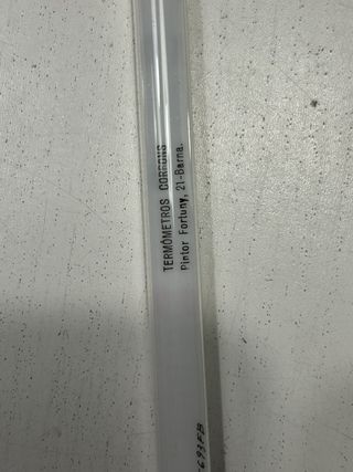 2 Termómetros de Laboratorio DENSITEM