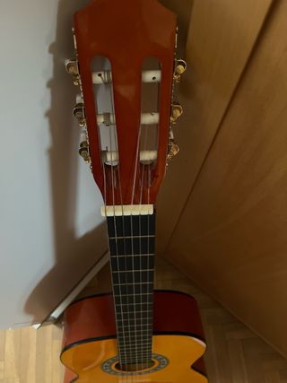 Guitarra Sonora SGN 450