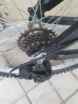 Bicicleta de Montaña