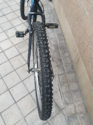 Bicicleta de Montaña