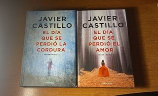 El dia que se perdió la cordura/ el amor