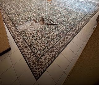 Suelo hidráulico antiguo desmontado 13 m2