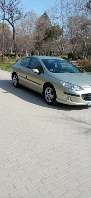 Peugeot 407 2007