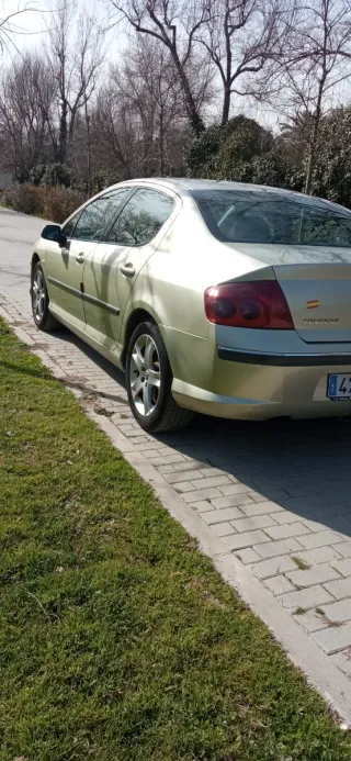 Peugeot 407 2007