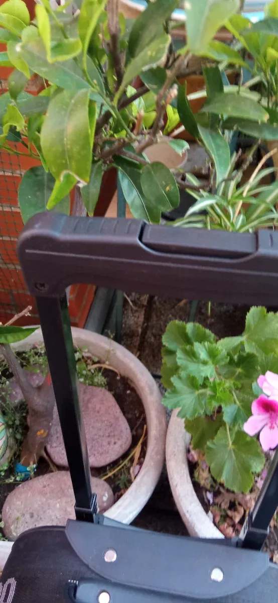 Maleta Cabina Tornado Negra Ruedas