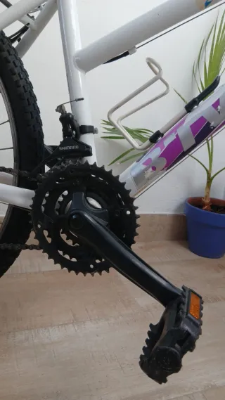 Bicicleta Montaña Blanca