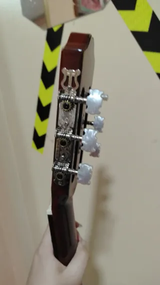 Funda Resistente para Guitarra Clásica José Torres