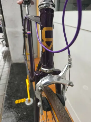 Bicicleta Fixie Single Speed