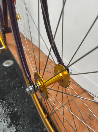 Bicicleta Fixie Single Speed