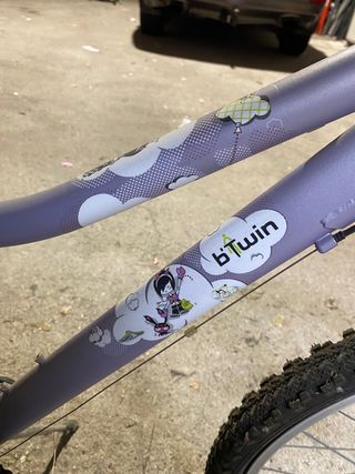 Bicicleta niña/adolescente