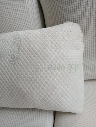 Almohada Aloe Vera 90cm