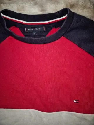 Sudadera Tommy Hilfiger Tricolor