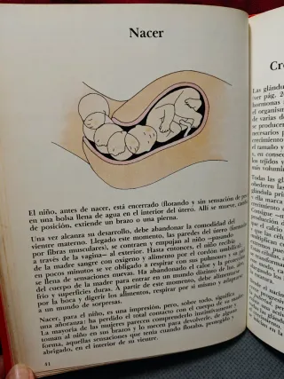 Tu cuerpo (Spanish Edition)