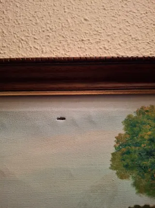 Cuadro paisaje con un señor sentado