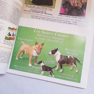 Revista mundo del perro
