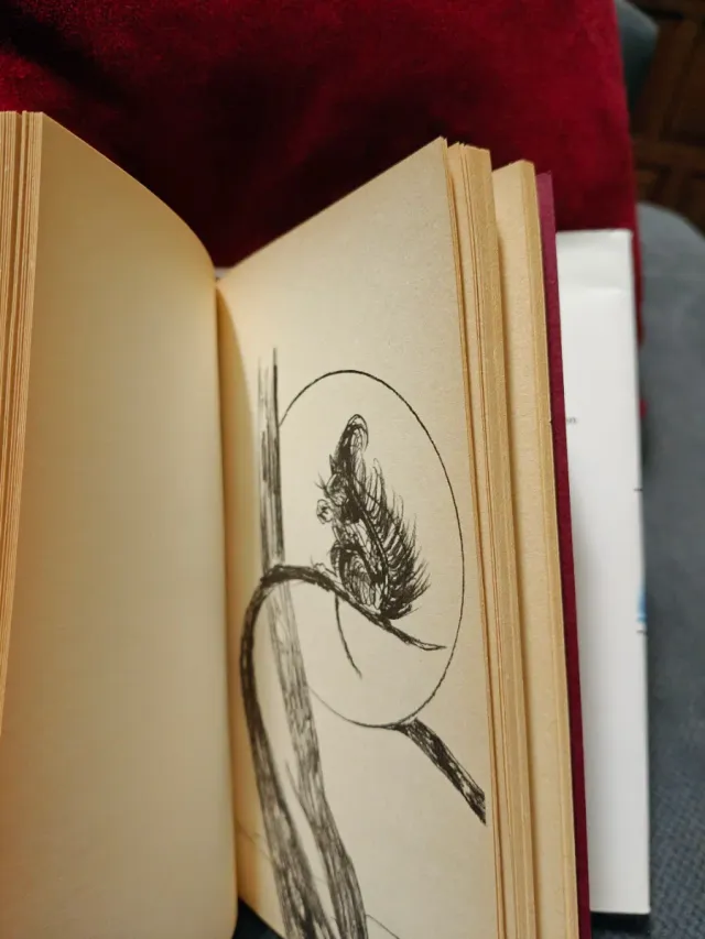 DOS Ancianas, Las (Spanish Edition)