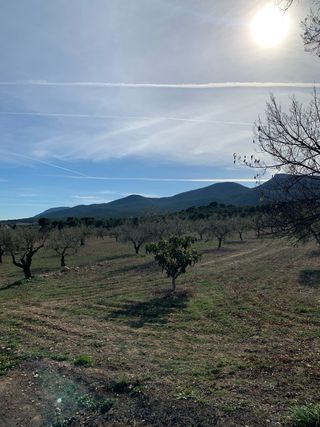 Finca Rústica en Castalla (Alicante)