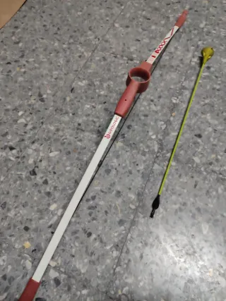 Arco Geologic Decathlon