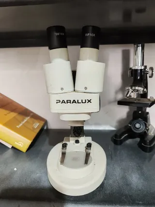 Microscopio PARALUX