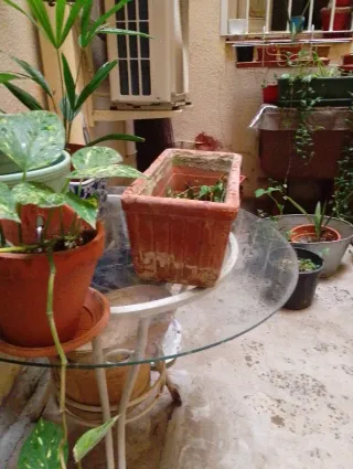 Jardinera de barro rectangular