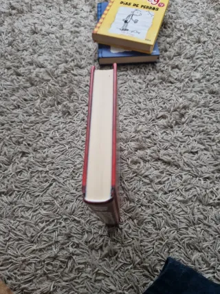 Diario de Greg 1 - Un pringao total