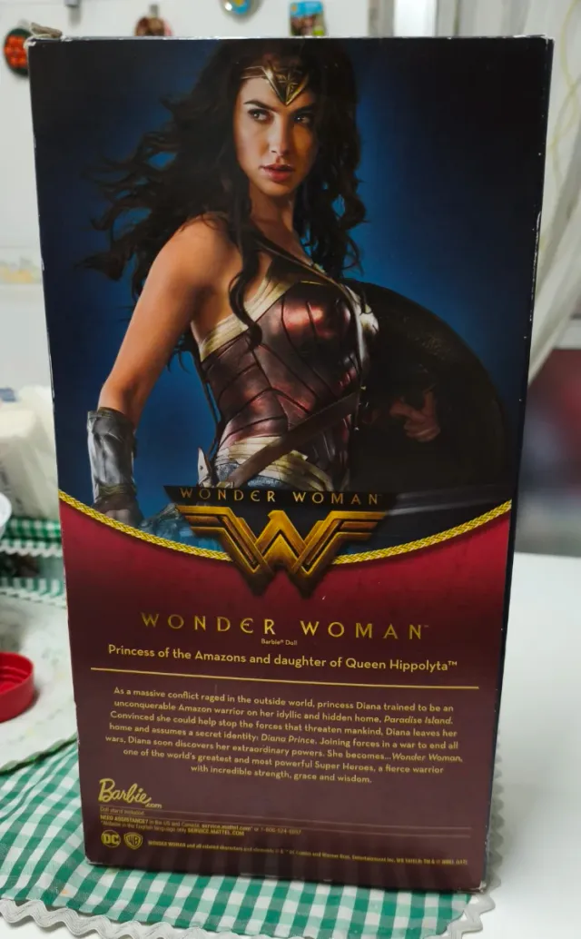 Barbie Wonder Woman con espada y escudo