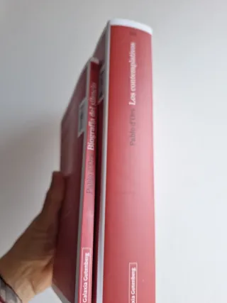 Lote 2 libros de Pablo d'Ors