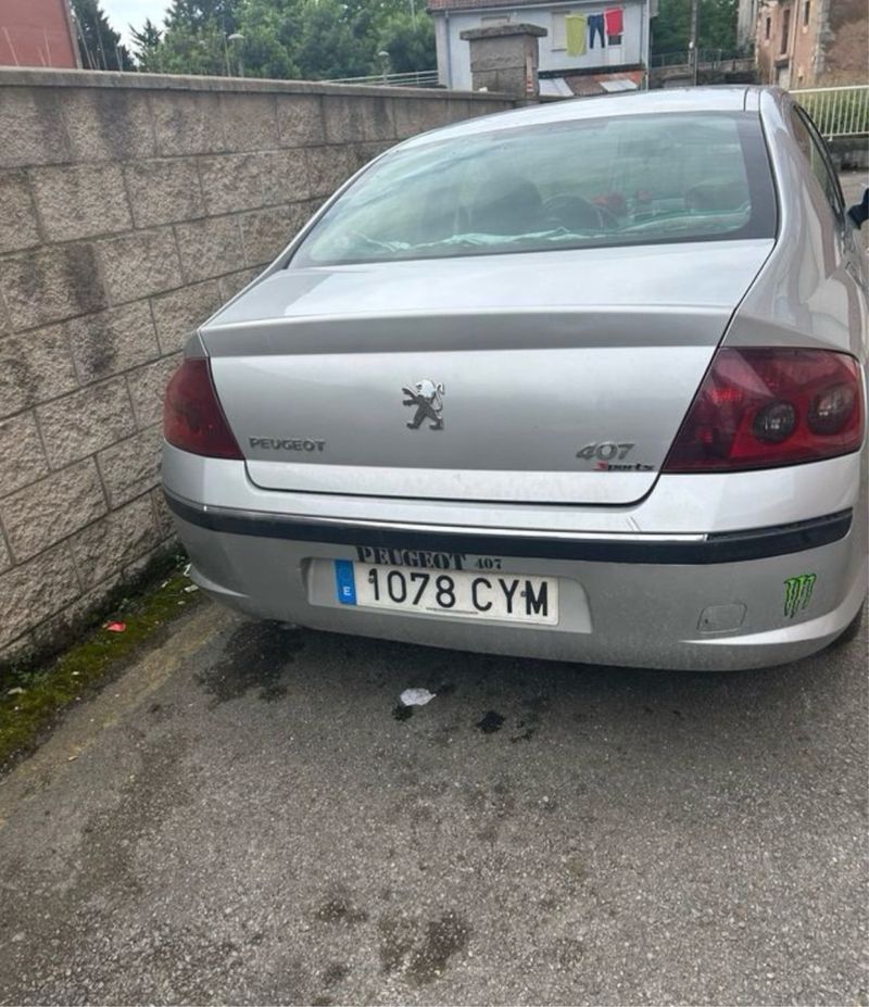 Peugeot 407 2004 - foto 1