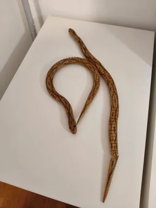 Coppia serpenti giocattolo in legno