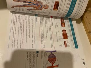 LA+SB Tecnicas basicas de enfermeria GM. Libro ...