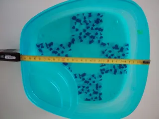 Tortuguero azul transparente