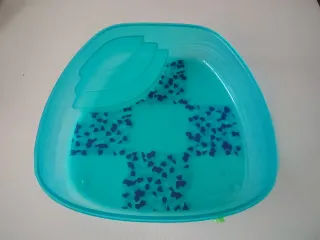 Tortuguero azul transparente