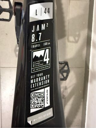 Bici Eléctrica FOCUS JAM 2 8.7