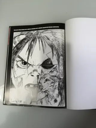 comic Bad boy de Frank Miller