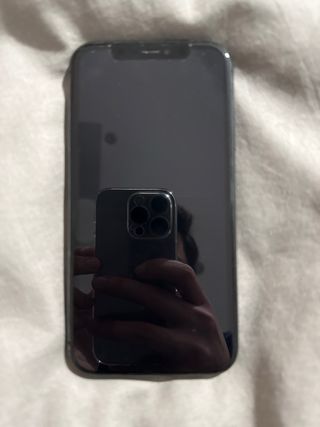 iPhone 11 256GB Negro Impecable