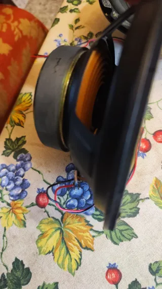 Altavoces Wunderton Barcelona