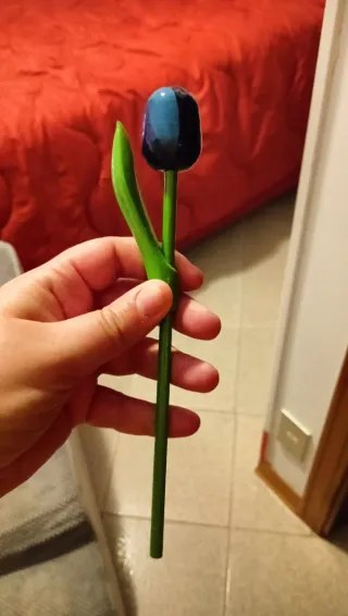 Vasetto Holland con Tulipani